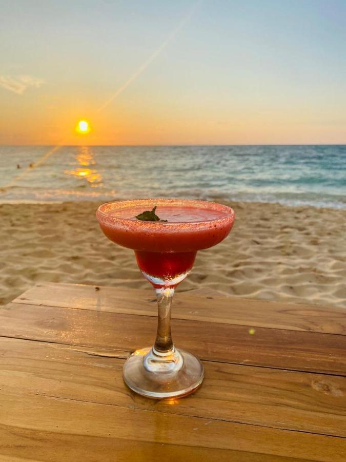 Venido Del Mar Beach Isla Barú Dış mekan fotoğraf